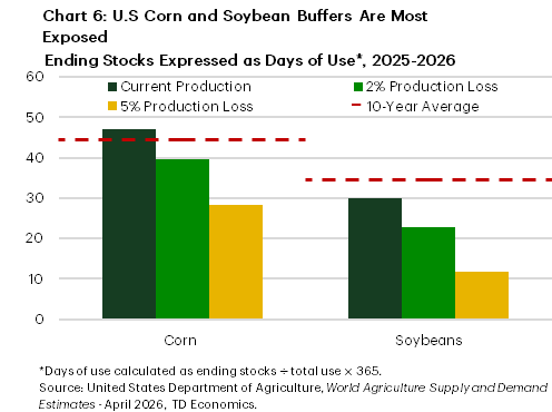 Chart 6 is a grouped bar chart showing U.S. ending stocks expressed as days of use for corn and soybeans in 2025-2026 and under two production loss scenarios. A horizontal line marks the 10 year average days of use for each crop, against which current stocks and the 2 percent and 5 percent production loss scenarios are compared. The vertical axis shows days of use from 0 to 60, and the horizontal axis lists corn and soybeans. For corn, the 10 year average buffer is 44 days of use. Current production raises corn stocks to 47 days, which falls to 40 days under a 2 percent production loss and to 28 days under a 5 percent production loss. For soybeans, the 10 year average is 34 days of use, while current production shows 30 days. Soybean buffers decline to 23 days under a 2 percent production loss and to 12 days under a 5 percent production loss. Overall, U.S. soybean stock buffers deteriorate more sharply than corn as production losses deepen. 