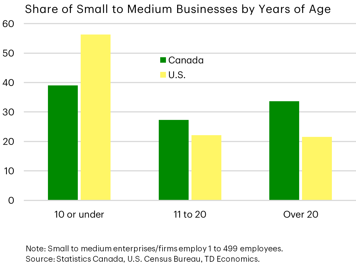 Share of small to medium businesses by years of age, %