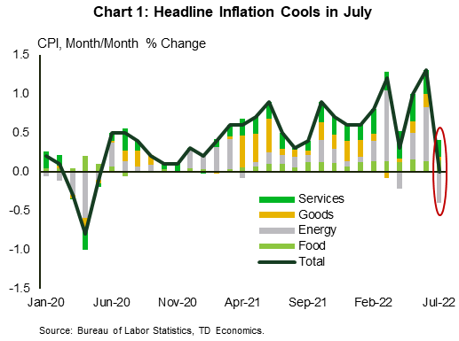 Financial Advisor Cornelius NC-Financial News: Chart 1 shows headline inflation along with several sub-components: energy, food, goods, and services. The chart dates back to January 2020 and extends through to July 2022. The data is shown in monthly frequency and shows the month-over-month percent change. Headline inflation was flat in in July, as energy (-0.4%-pts) subtracted from the total, while services (0.2%-pts), food (0.1 %-pts) and goods (0.1%-pts) all added. Data is sourced from the Bureau of Labor Statistics.