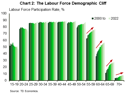 Chart 2 shows labour force participation rates for age cohorts in five year age increments ranging from 15 to 70+ over the years 2000 to 2022. It shows that participation rates have increased for those aged 55+.