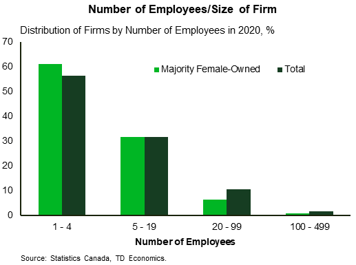 Chart shows the firm size of small and medium enterprises (SMEs) by number of employees in 2020 as a percent of total SMEs and majority-female owned SMEs. Both categories of SMEs tend to be smaller in size with only 1-4 employees. Specifically, 60.9% of majority-female owned SMEs have 1-4 employees while total SMEs have 56.2%. Similarly, 31.6% of both majority-female owned and total SMEs have 5-19 employees. 6.6% of majority-female owned SMEs and 10.6% of total SMEs have 20-99 employees. A very small percent of both categories have 100-499 employees, specifically 0.9% of majority female-owned SMEs and 1.7% of total SMEs.
    shows the share of SMEs that are majority female-owned across recent years for Canada with one comparable observation for the U.S. These statistics are drawn from individual reports. The share of SMEs that are majority-female owned was 16.4% in 2007, 17.1% in 2010, 15.7% in 2014, 15.6% in 2017, and 16.8% in 2020. This share was 21% in 2019 in the U.S.
    