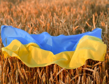Ukrainian Wheat Exports Ready to Set Sail